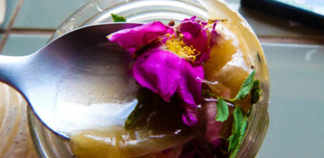 Medicine of the People: The Joys of Healing Herbs Image